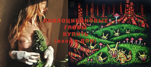 амфетамин Ельня