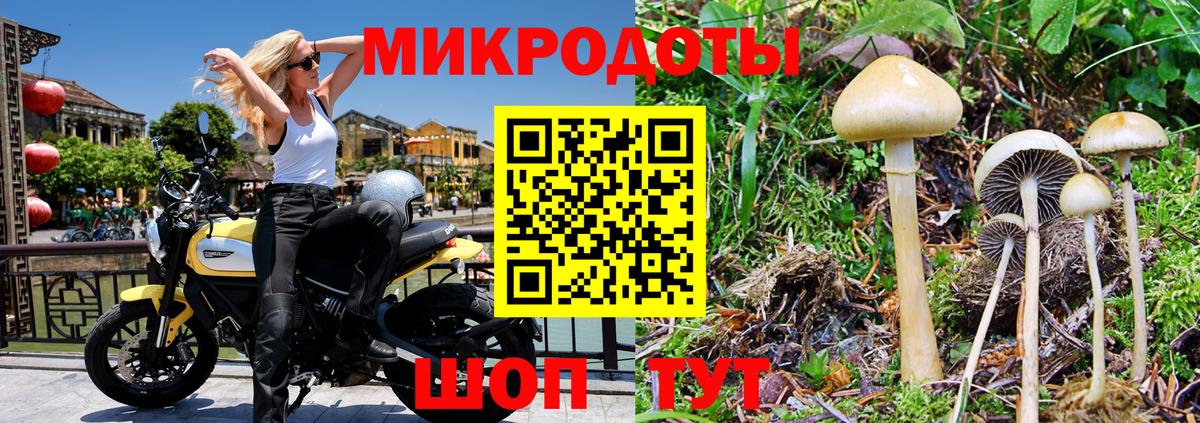 Псилоцибиновые грибы мухоморы Жуковский