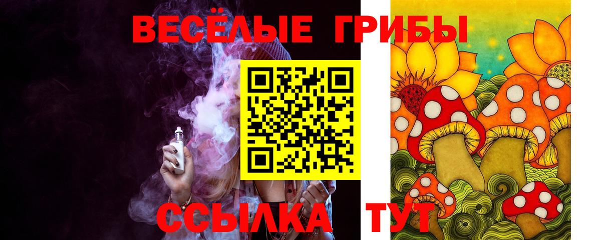Бошки Шишки  Меф МЯУ МЯУ  MDMA  Альфа ПВП СК   COCAIN  ГАШИШ  МЕФ   Жуковский  Каннабис  Вход с VPN 