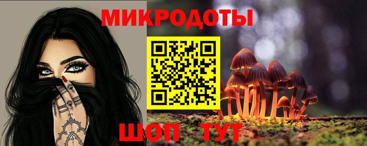Галлюциногенные грибы Psilocybine cubensis Жуковский
